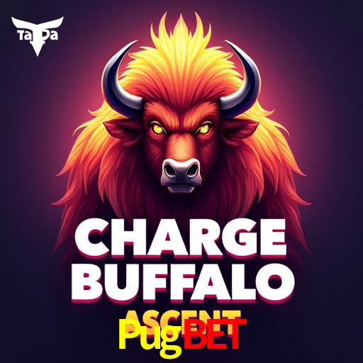 Experiência VIP Pugbet